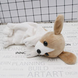 Dog Pencil Case
